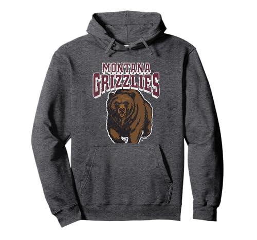 University of Montana Grizzlies Distressed Primary Pullover Hoodie