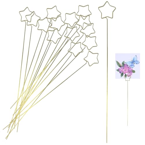 Zorfeter 30 S[ht[J[hz_[ ^C[t[sbN EhMtgJ[hz_[ 13.4C`Nbv EFfBOp[eB[ a P[L(X^[)