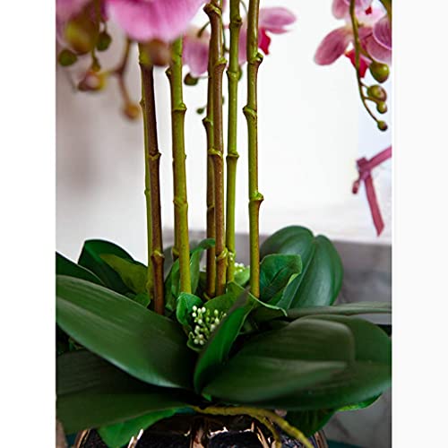 XJZKA Artificielle Phalaenopsis Orchidée Bonsaï Fleurs Faux avec Arrangement de Vase 9 Têtes PU Bonsaï pour la Décoration de Table de Bureau à Domicile (Couleur : Violet) Cover
