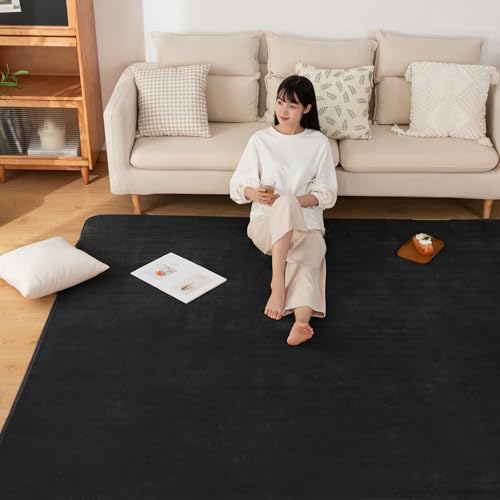 Sun Deco �J�[�y�b�g ���O �􂦂郉�O�}�b�g �O�~ 200×250cm(��3��) �R�� �h�L �h�_�j ����~�ߕt�� �I�[���V�[�Y�� ���g�[ �z�b�g�J�[�y�b�g�Ή� �ې� �t�����l�� ���n�E�_�[�N�u���b�N