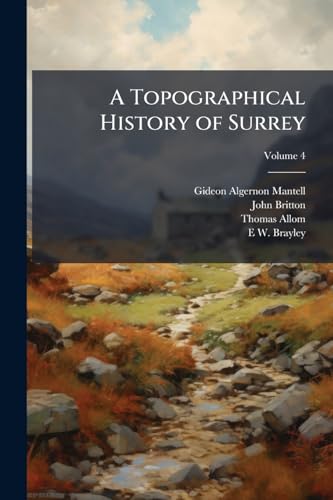 A Topographical History of Surrey; Volume 4