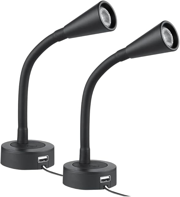 acegoo 2 x DC 12V LED Reading Light Caravan Boat Dimmable Reading Lamp with USB Flexible Goosneck Light for Campervan Motorhome Van Truck Cars Interior Lighting, Hard-wired Surface Mount