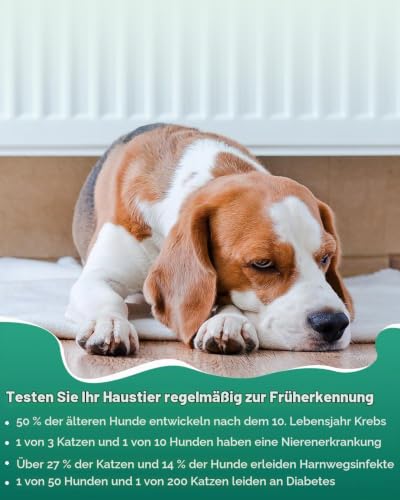 Pawfly Urinteststreifen für Katzen & Hunde, 100 Streifen, Haustier-Urinteststreifen für Keton, Glukose, spezifisches Gewicht & pH, Urinanalyse-Teststreifen für Tierärzte, genaue Diabetes-Tests für dia