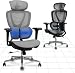 FLEXISPOT BS8G Sedia Ufficio Ergonomica Poltrona da Ufficio Poltrona Girevole Regolabile in Altezza, con Supporto Lombare per Poggiatesta e Funzione di Inclinazione （Grigio）