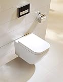 Tiefspül-WC zur Wandmontage Wand-WC inkl. Soft-Close Sitz WH-6020