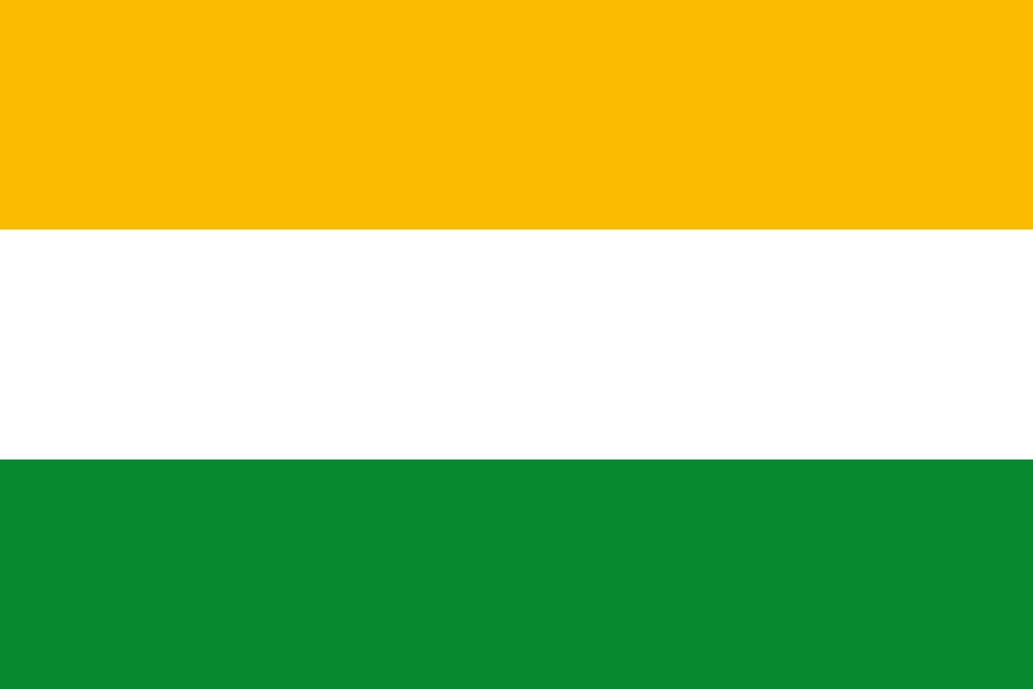 Drapeau de Sativanorte Boyacá grand format pour décoration et événements