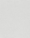 8 1/2 x 11 Cardstock - Pastel Gray (50 Qty.)