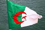  Drapeau Algérie /1,99 euros / Neuf sous emballage 145 cm x 90 cm