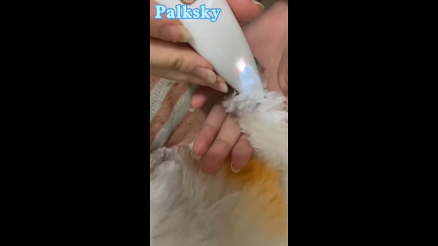Palksky Dog Paw Trimmer, Upgraded 18mm-Blade Electric Dog Clippers for Groomming-with Led Display, Waterproof Pet Micro Precisiion Trimmer, Rechargeable Hair Shaver for Paws, Ears, Face, Rump-and Eyes