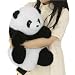 Panda Genérico Imagen de Panda Genérico