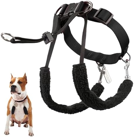 Sporn Original Training Halter, No Pull Harness Medium Size Dog w...