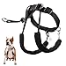 SPORN Dog Halter, Black, Medium