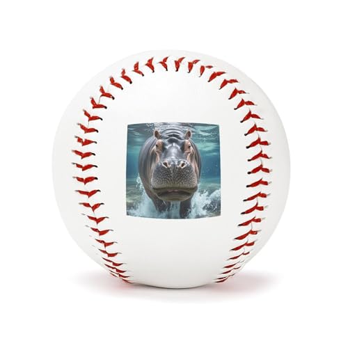 Balle de baseball souvenir de 9 pouces pour autographe et cadeaux
