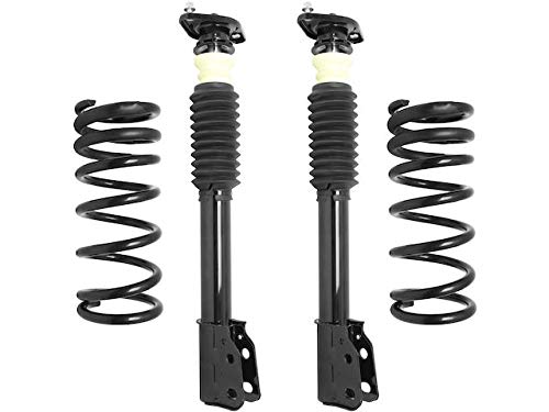Rear Air Spring to Coil Spring Conversion Kit - 10