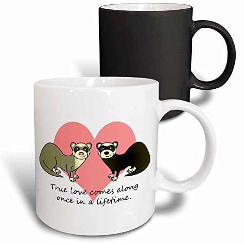 3dRose True Love Comes Along Lifetime 11oz Magic Transforming Mug