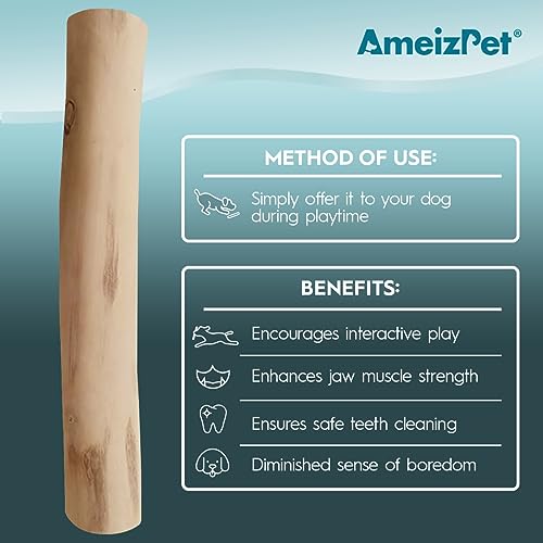 AmeizPet Coffee Tree Stick for Dog Chew Toy Coffee Tree Root Dogs Chew - Durable Dog Wooden Chewing Stick, S Size - Image 4