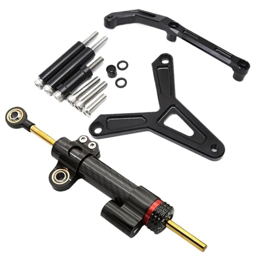 ̂߂ Tracer 900 GT 2021-2023 I[goCXeAO_p[X^rCU[uPbg}EgT|[g oCN XeAO_p[(Black-A)