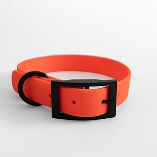 DogX Biothane Hundehalsband – wasserfest, abwaschbar & geruchsneutral – verstellbar für kleine, mittelgroße & große Hunde (S–XL) – robust & pflegeleicht (Orange, XL)