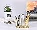Nugorise Pen Holder, 3 Compartment Metal Pencil Holder, Decorative Desk Storage Organizer Container for Stationery and Desk Accessories, Gold