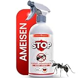 KRAFTKÖNIG Ameisenspray 500 ml – Hochwirksames Ameisen Spray für Innenräume, Außen & Garten – sofort einsatzbereit, schnell wirksam, Made in Germany