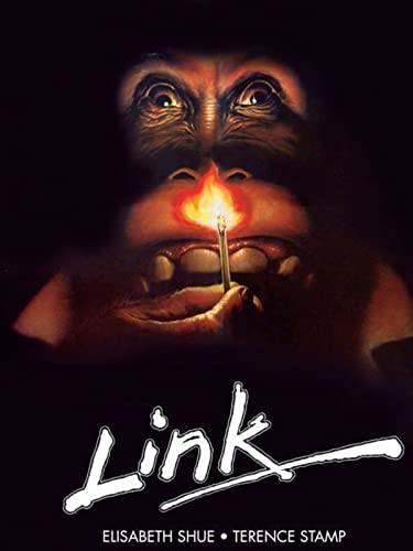  Link