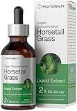Horbäach Horsetail Herb Liquid Extract | Alcohol Free | 2 fl oz | Vegetarian, Non-GMO, & Gluten Free Supplement