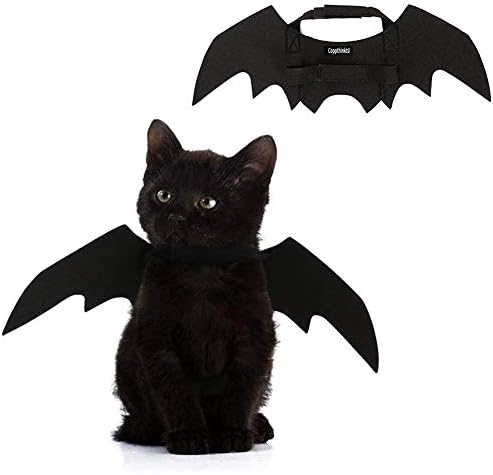 Halloween Pet Bat Wings Cat Dog Bat Costume