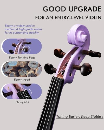 image for Aileen Music Aileen Violin 4/4 Full Size for Adults Beginners, Purple 