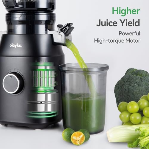 Juicer Machines, Cold Press Juicer with 4.3" Large Feed Chute Fit Whole Fruit and Vegetable, Masticating Machine with Juice Recipe,Self Feeding Effortless for Batch Juicing,Easy to Clean,Black - Image 5