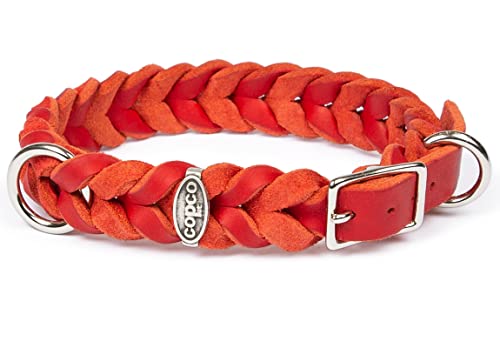 Westie Hunde Halsband Leder Orange | Halsumfang 30-34 Cm, Mit Metallaplikationen