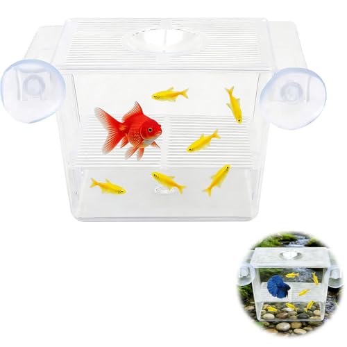 Boîte de Culture de Poissons, Couveuse Aquarium en Acrylique Transparente avec ventouses, bac pour alevins Aquarium autoflottant, nurserie Poisson Aquarium...