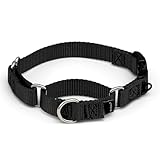 PetSafe Martingale Dog Collar with Quick Snap Buckle - No Pull Dog Collar for Walking Control - Gentle Correction - Durable Nylon Material - Adjustable No-Slip Collar - Black - Small - 3/4 Inch Wide