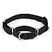 PetSafe Martingale Collar with Quick Snap Buckle, 3/4" Small, Black