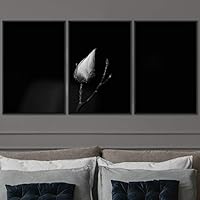 3 Piece Framed Canvas Wall Art Black and White Botanical Canvas Prints Home Artwork Decoration for Living Room,Bedroom - 16