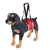 【Diseño especial】 Nuestro transportín para perros está diseñado para ayudar a los perros que tienen movilidad limitada y soportan su peso corporal cuando se paran, suben escaleras, ven rampas y más cedas para moverse por la movilidad limitada.