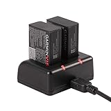 Charger for Garmin Virb 360 Camera by HOLACA Dual Charger with USB Cable Compatible with Garmin Virb 360 Rugged Waterproof 360-degree Camera