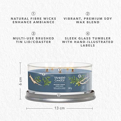 Bougie parfumée Bayside Cedar longue combustion mélange cire de soja - 5