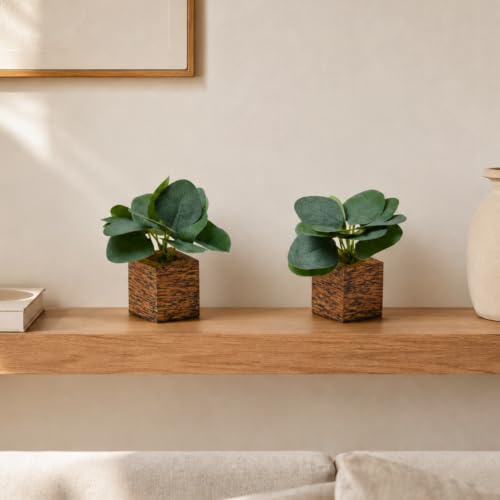 Image of DecoreBugs Artificial Real Touch Flower Plant with Pot (Pack of 2), 16 cm Height, Decorative Faux Floral Plant for Home, Office, Living Room, Bedroom, Table & Shelf Decor