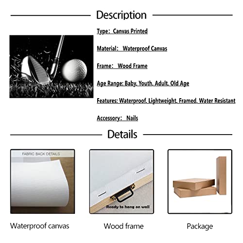 Gold Mi 12x16 inch Modern Abstract Black and White Golf Ball Sport Canvas Print for Multi-room Wall Decor