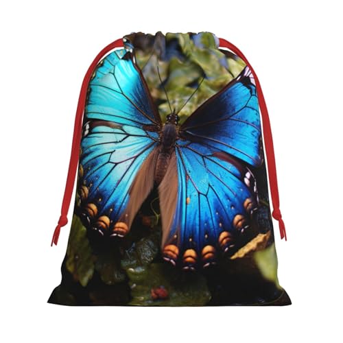 HTTUP u[o^tCvg ėp\ Mtg ֗ȃ|[`  LfB ϕi [ pr