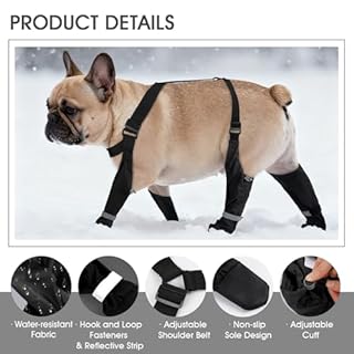 AuraPaw Dog Shoes Reflective & Waterproof–Dog Suspender Boots for Walking & Hiking & Running, Adjustable, Non-Slip, Stay-On Pet Booties Paw Protectors for Medium Dogs, Black, Size XL