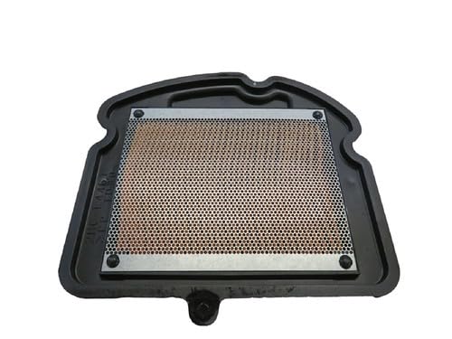 Amazon.com: Yamaha YXZ1000 Secondary Air Filter, #2HC-E4461-00-00