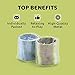 Srenta 1 Inch Mini Metal Coil Spring Silver and Gold Variety Toy, for Parties, Gifts & Birthdays, Pack of 12