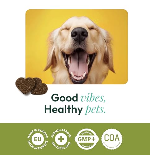 Gooddy – Probiotische & Präbiotische Snacks für Hunde, 85 Stück (300 g) – Mit Vitamin B12 & B9, Glutamin & Zink – Unterstützt Verdauung, Darmflora, Darmschleimhaut & Immunsystem – Gegen Durchfall