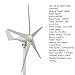 Wilitto Wind Turbine Generator kit, Mini Windmill Turbines Generator 1200W, Wind Power Generator for Marine, RV, Home, Windmill Generator Suit for Hybrid Solar Wind System