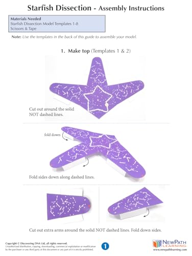 Image of NewPath Starfish Dissection 3-D Paper Model Making Kit - Individual Student Edition (17-7746)