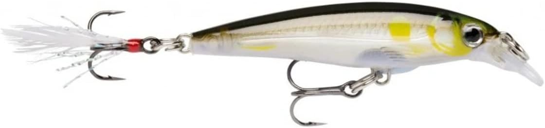 Rapala X-Rap Jerkbait XR10 Fishing Lure