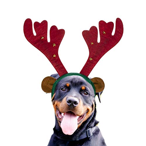 Hunde-Rentier Geweih Stirnband Kostüm – Perfektes Hund Weihnachten Outfit für Urlaub Familie Foto