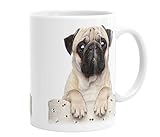 Merchandise for Fans