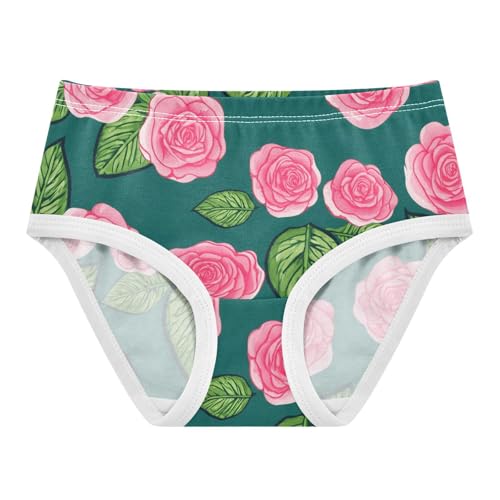 Cotton Toddler Girls Underwear Floral Pink Roses Green Teal Panties Little Girl Fancy Briefs Underpants 2t